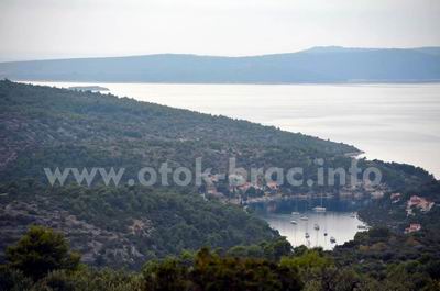 Uvala Vičja luka