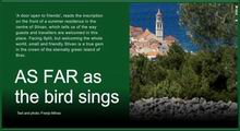 Sutivan - Pearl of Adriatic