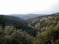 Brački krajolik